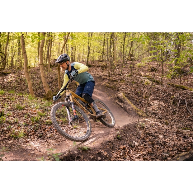 Nelson_Bike_000000000003.jpg