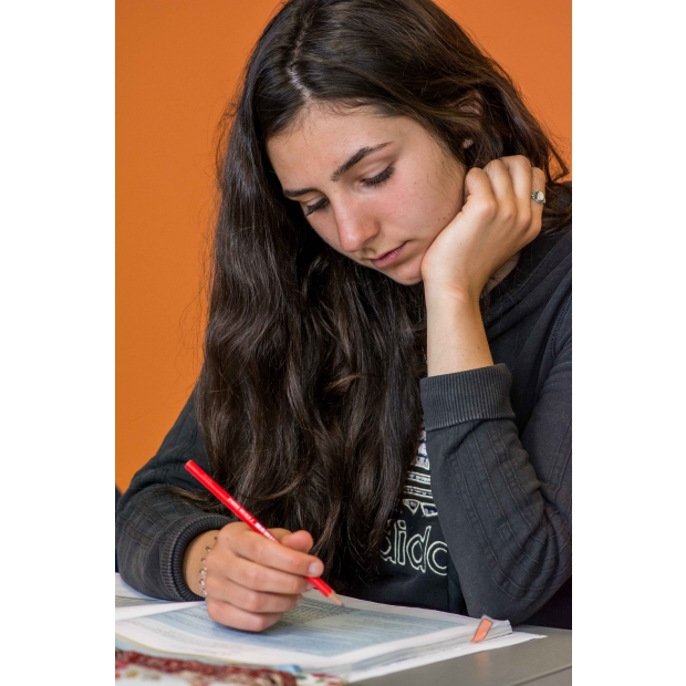 12. Learning.jpg